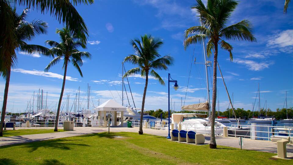 Coconut Grove showing a garden and a bay or harbour