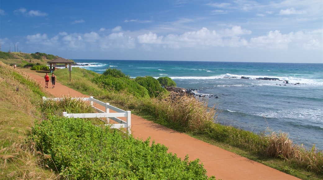 Ke Ala Hele Makalae East Shore Beach Path showing general coastal views and hiking or walking as well as a couple