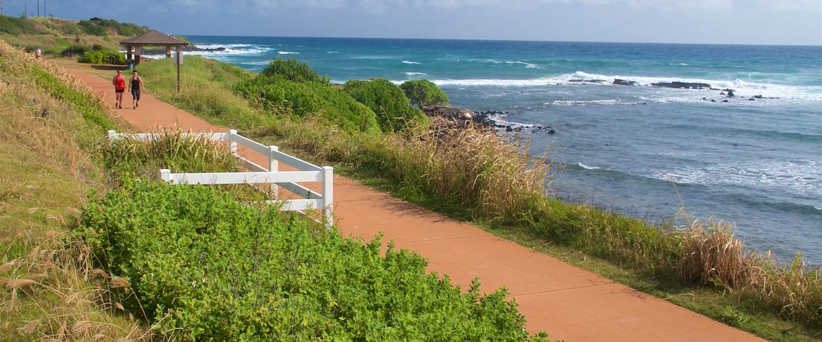 Ke Ala Hele Makalae East Shore Beach Path showing general coastal views and hiking or walking as well as a couple
