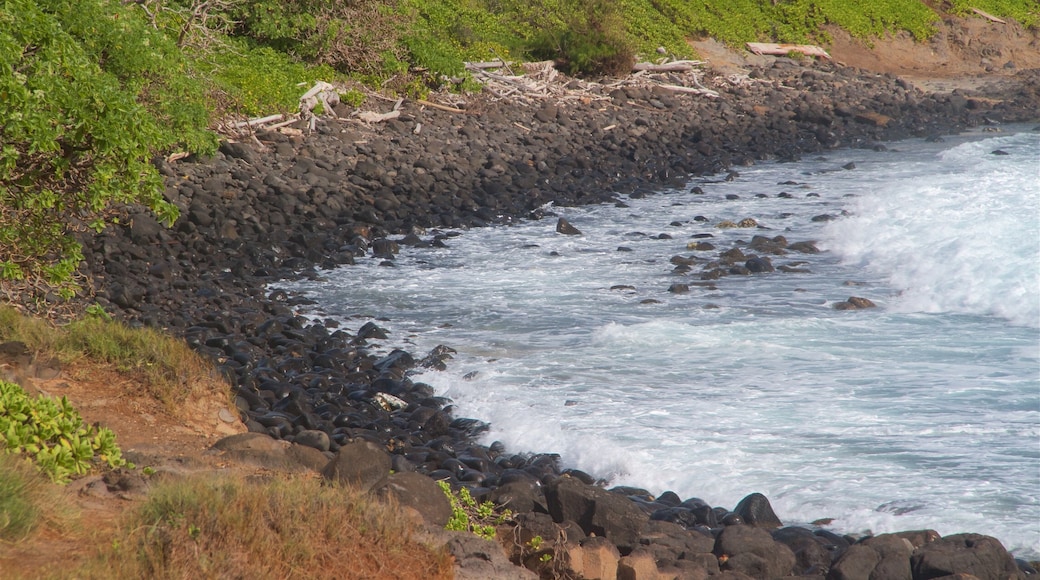 Ke Ala Hele Makalae East Shore Beach Path featuring a pebble beach, general coastal views and rocky coastline