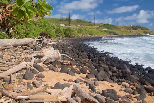 Ke Ala Hele Makalae East Shore Beach Path featuring general coastal views, a pebble beach and rocky coastline