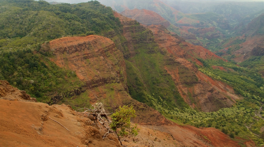 Waimea Canyon caratteristiche di paesaggi rilassanti e gola o canyon