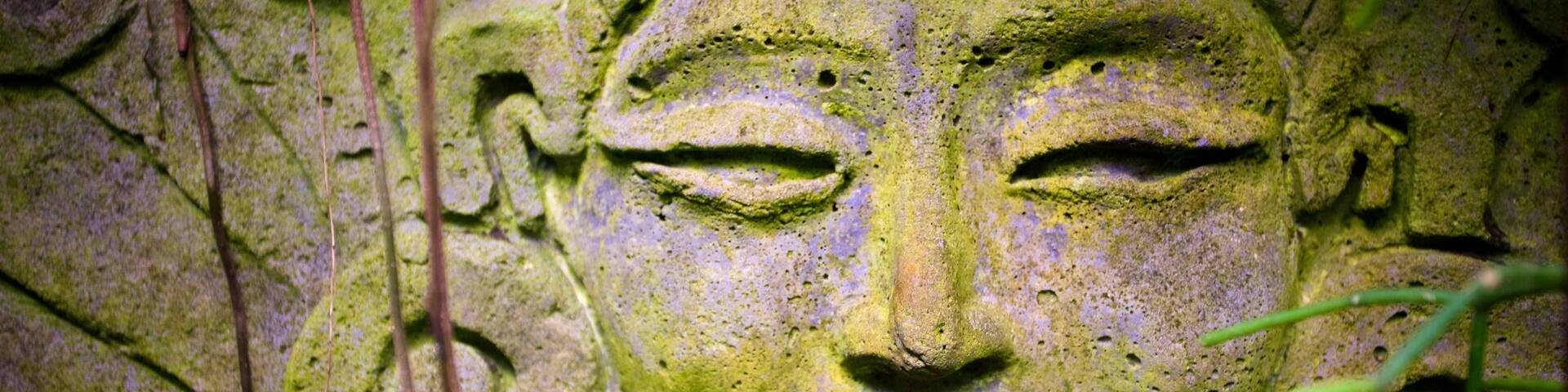 Marie Selby Botanical Gardens showing outdoor art