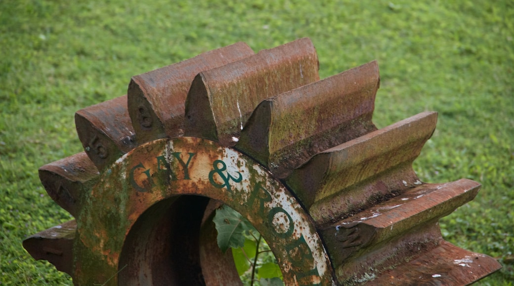 Kilohana Plantation showing heritage elements