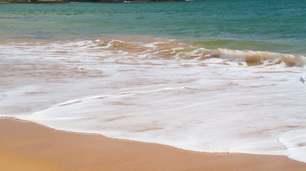 Kalapaki Beach mostrando paisagens litorâneas e uma praia de areia