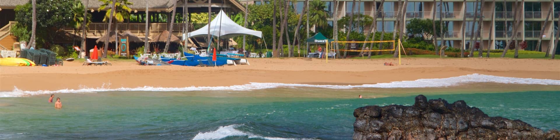 Kalapaki Beach which includes a beach, tropical scenes and general coastal views