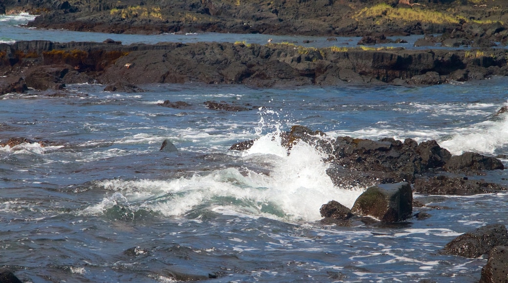 Keaukaha Beach Park which includes rocky coastline and general coastal views