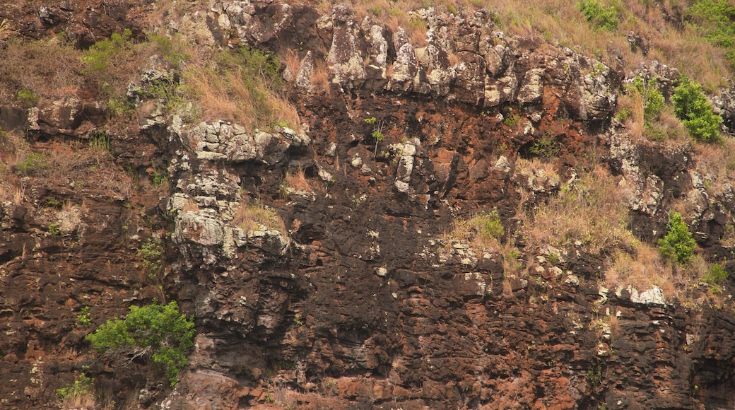 Opaekaa Falls showing a gorge or canyon