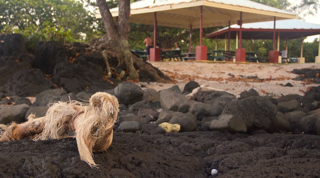 Onekahakaha Beach Park showing a sandy beach