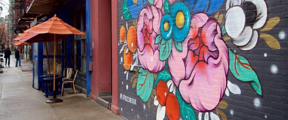 Nolita featuring outdoor art