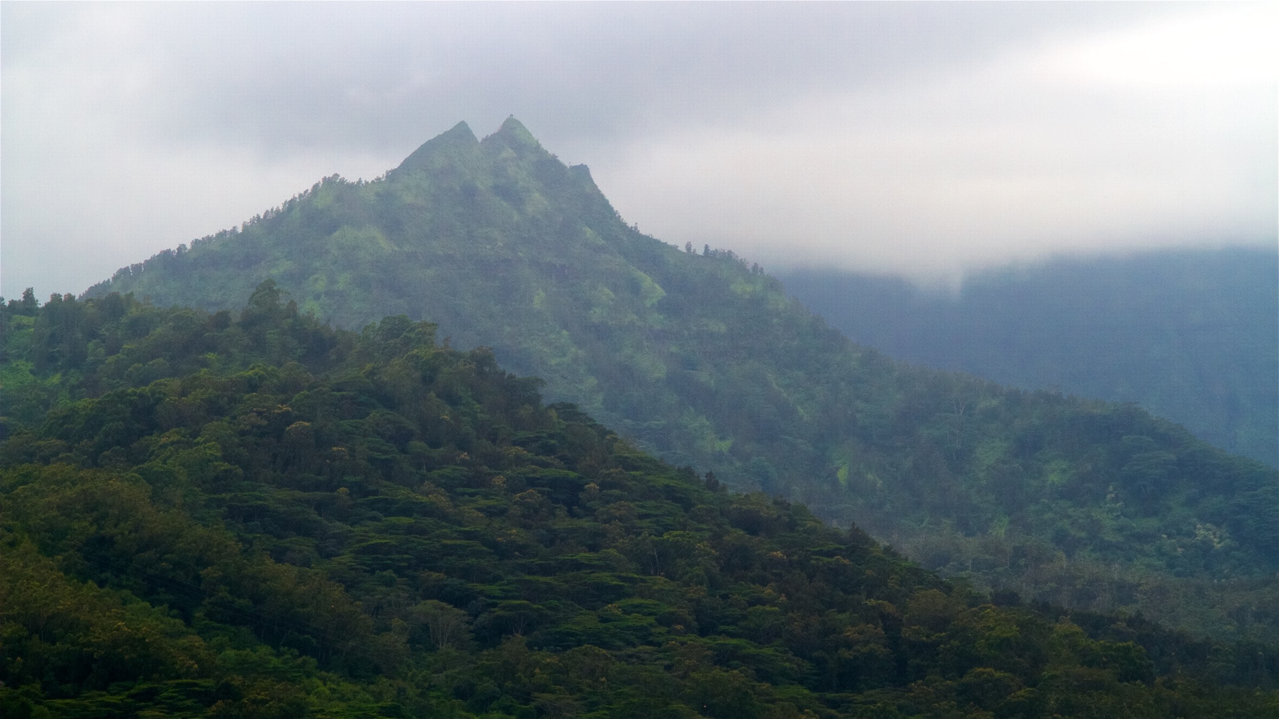 Hanalei Valley Lookout featuring mist or fog, tranquil scenes and mountains