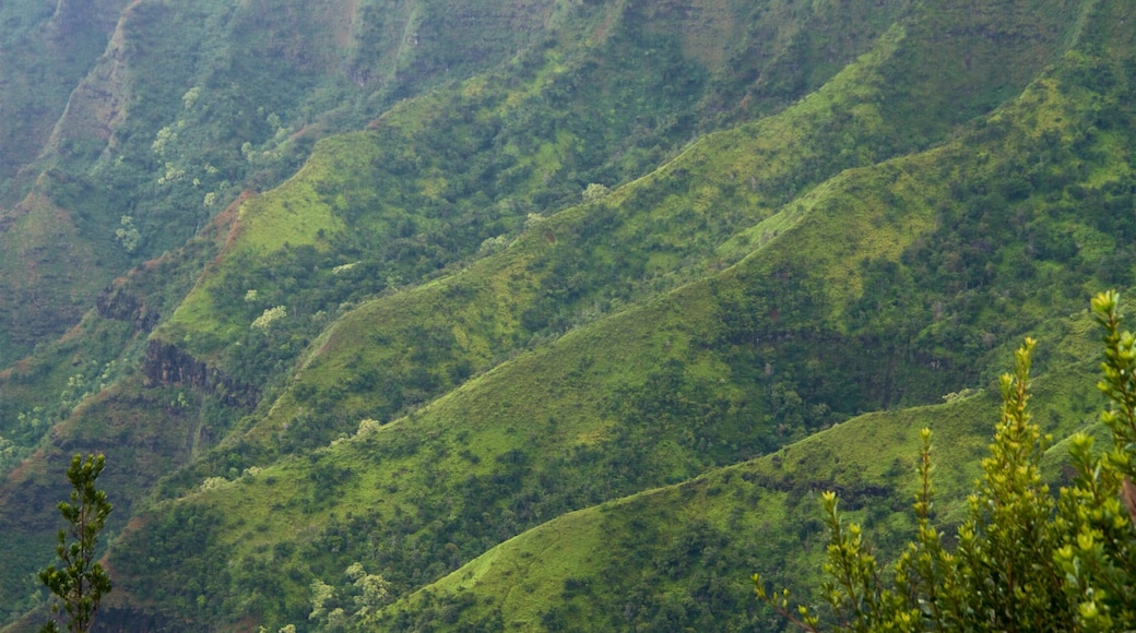 Pu\'u O Kila Lookout which includes landscape views and a gorge or canyon