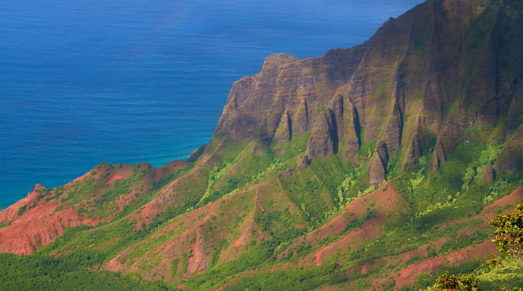Waimea mostrando montañas, vistas de paisajes y vistas generales de la costa