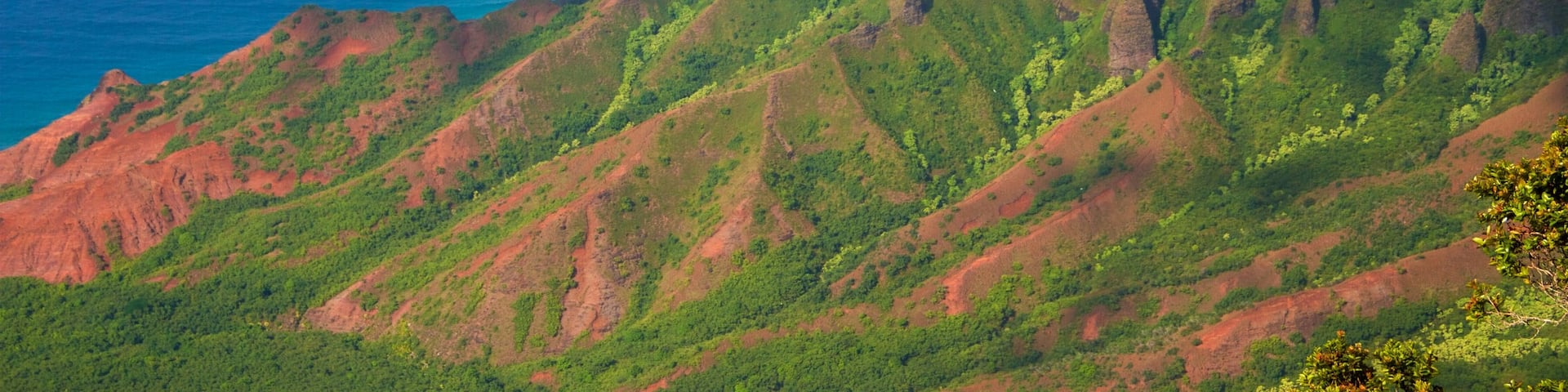 Waimea which includes landscape views, mountains and general coastal views