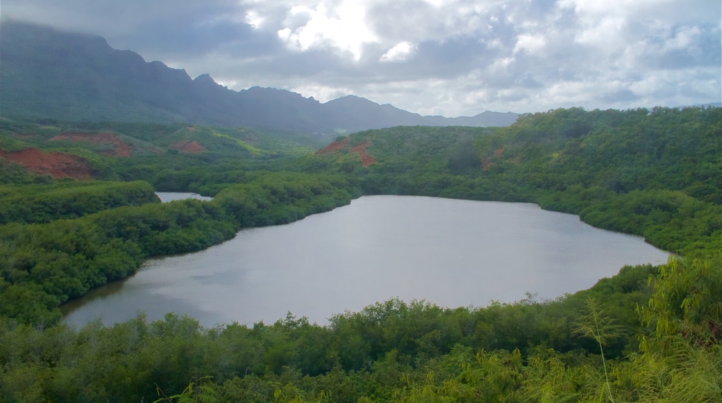 Alekoko  Fishpond 其中包括 寧靜的景觀 和 湖泊或水坑