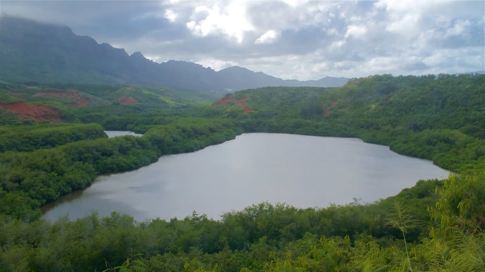 Alekoko  Fishpond featuring tranquil scenes and a lake or waterhole