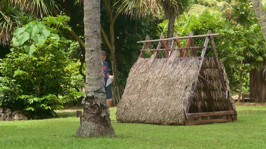 Kamokila Hawaiian Village mostrando cultura indígena y un jardín