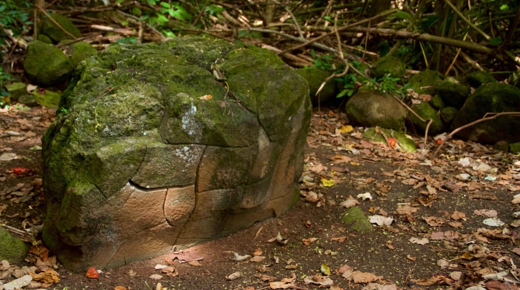 Kamokila Hawaiian Village inclusief een park