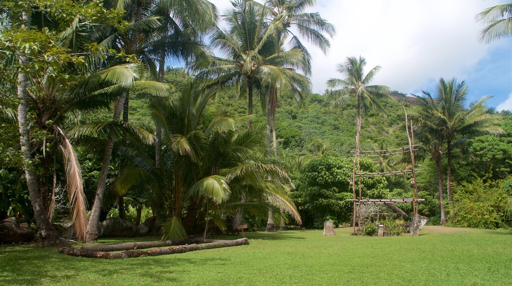 Kamokila Hawaiian Village caratteristiche di paesaggio tropicale e parco