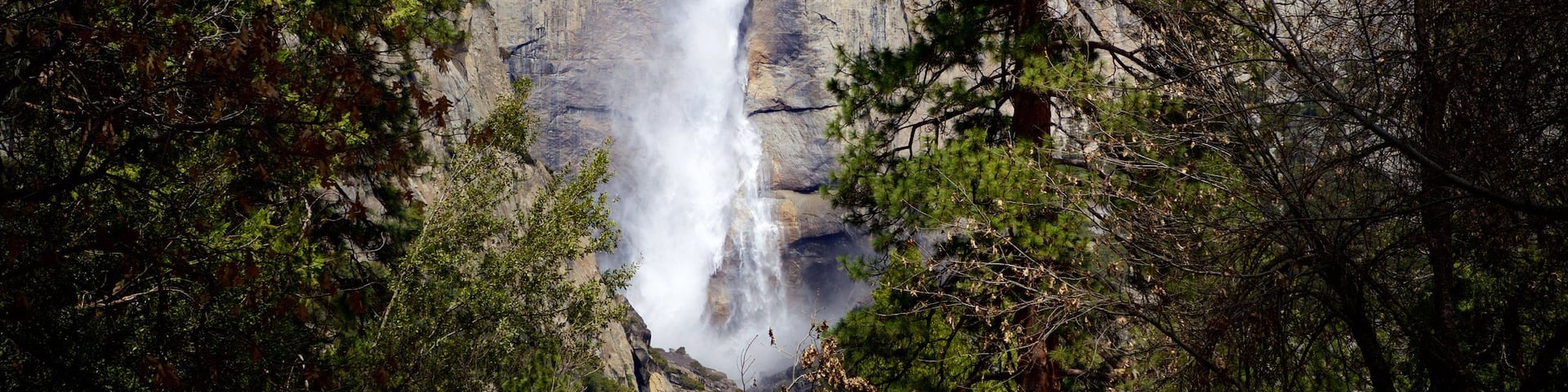 Yosemite Lodge Amphitheater featuring a waterfall and forests