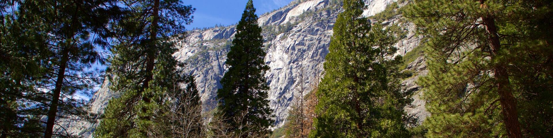Yosemite Lodge Amphitheater which includes mountains and forest scenes