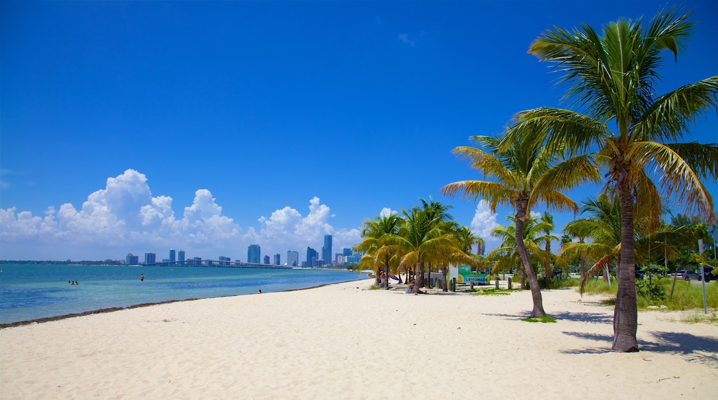 Virginia Key Beach Park que incluye un río o arroyo, una playa de arena y escenas tropicales