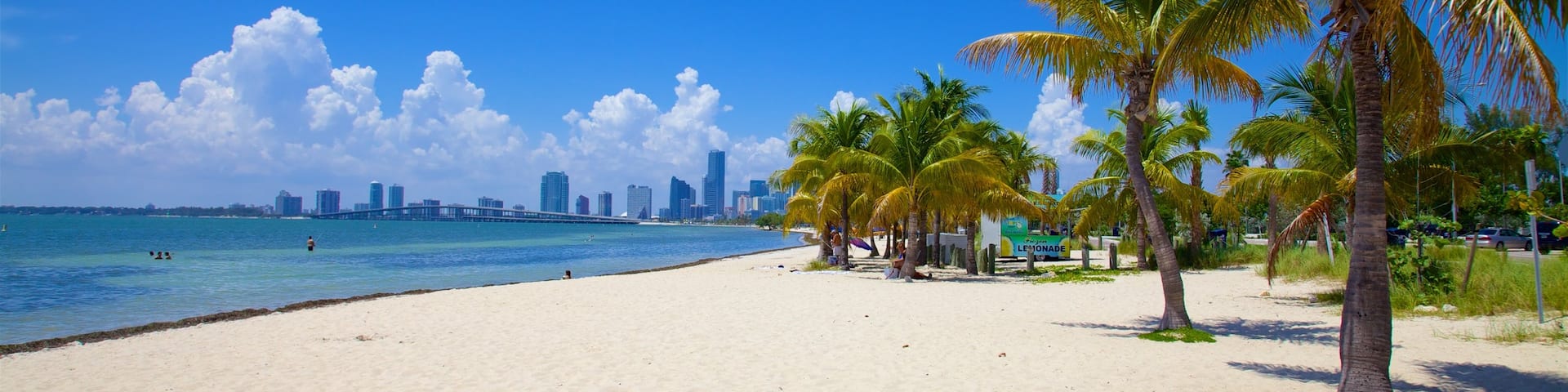 Virginia Key Beach Park showing tropical scenes, a beach and a city