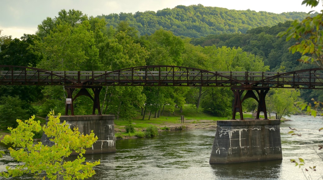 Ohiopyle State Park showing a river or creek, tranquil scenes and a bridge