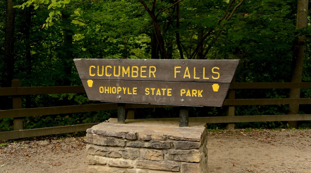 Ohiopyle State Park mit einem Waldmotive und Beschilderung