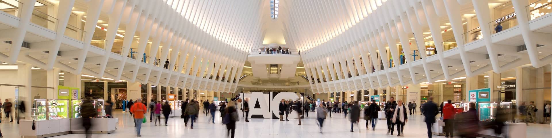 The Oculus showing interior views as well as a small group of people