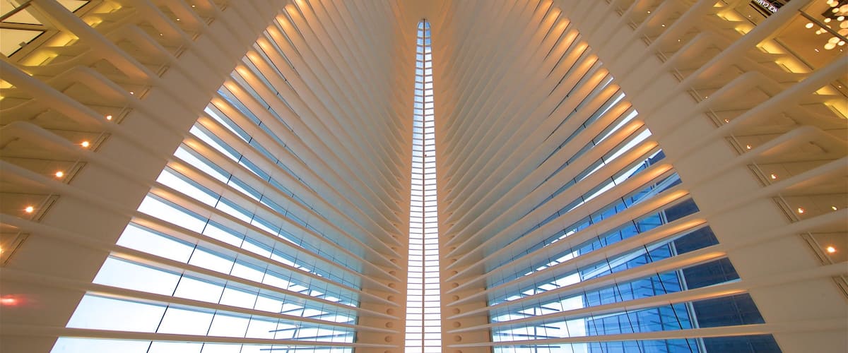 The Oculus caratteristiche di vista interna