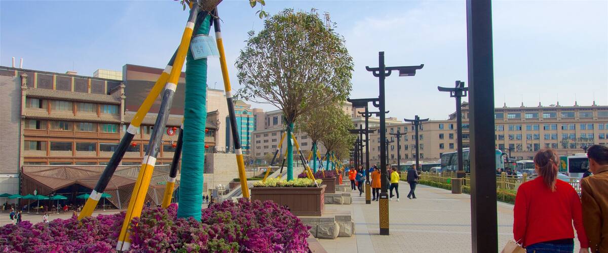 Xi\'an featuring flowers and a city as well as a couple