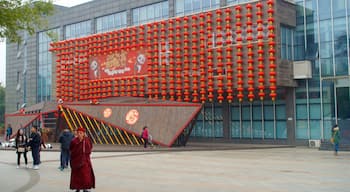 Centro base di ricerca del Panda Gigante di Chengdu caratteristiche di città e piazza cosi come un piccolo gruppo di persone