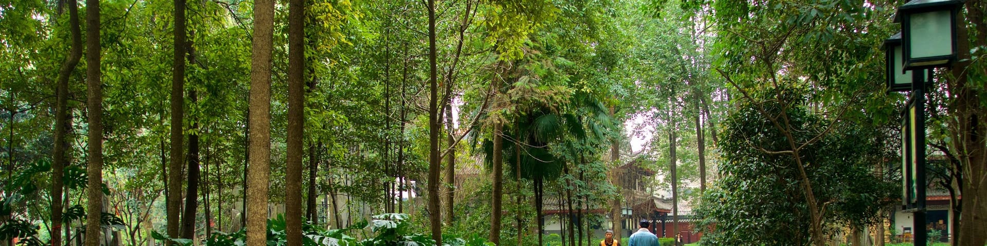 成都, 四川, 中國