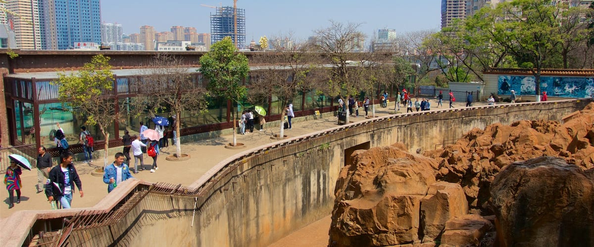 Kunming Zoo showing a skyscraper and a city as well as a small group of people