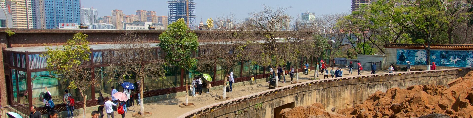 雲南, 中國