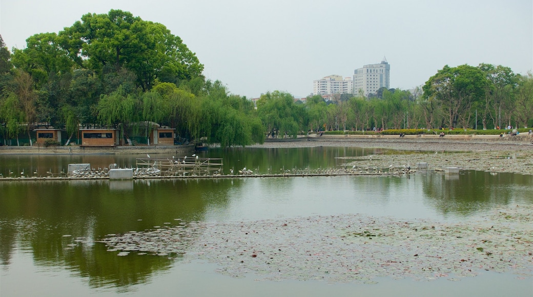 Green Lake Park welches beinhaltet Fluss oder Bach und Stadt