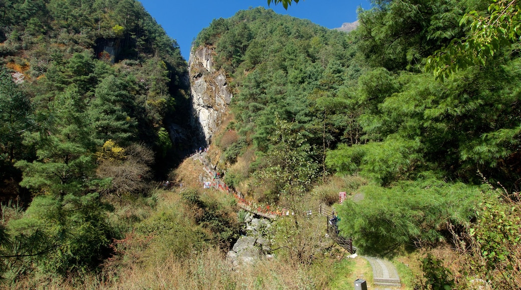 Cangshan Mountain