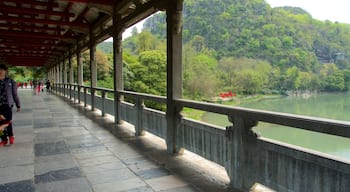 Parco delle sette stelle che include lago o sorgente d\'acqua e ponte