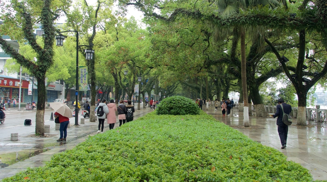 Guilin mostrando un jardín y también un pequeño grupo de personas