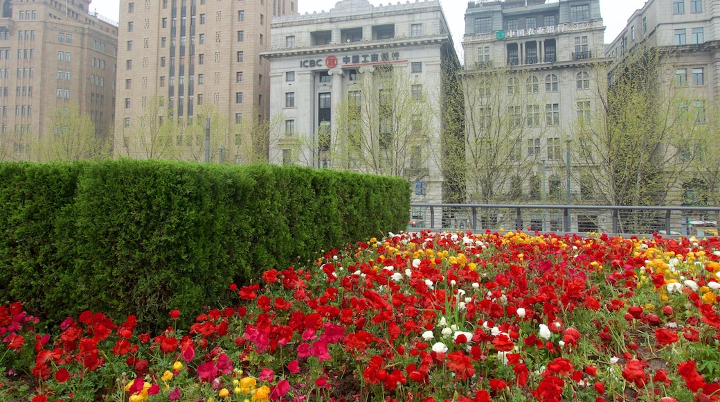 The Bund