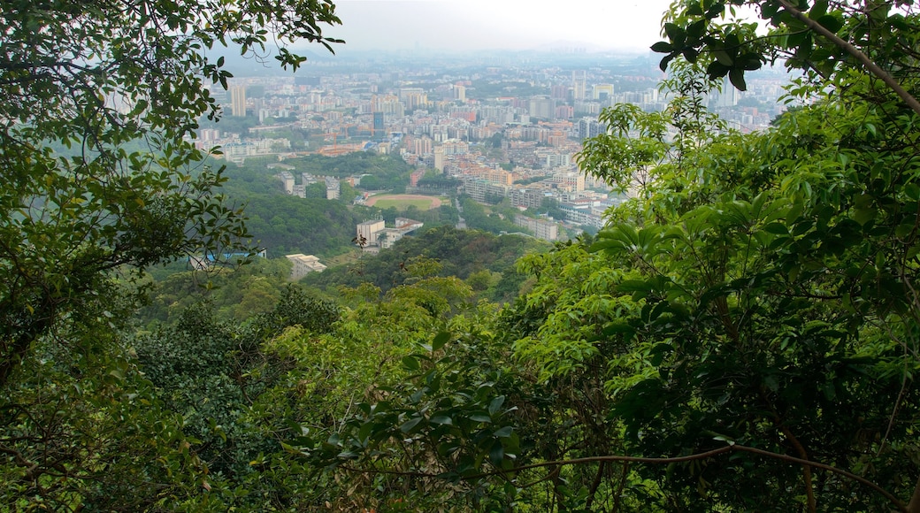 Montes de las Nubes Blancas