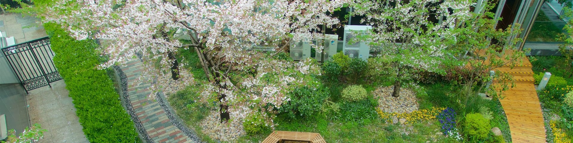 China showing a garden