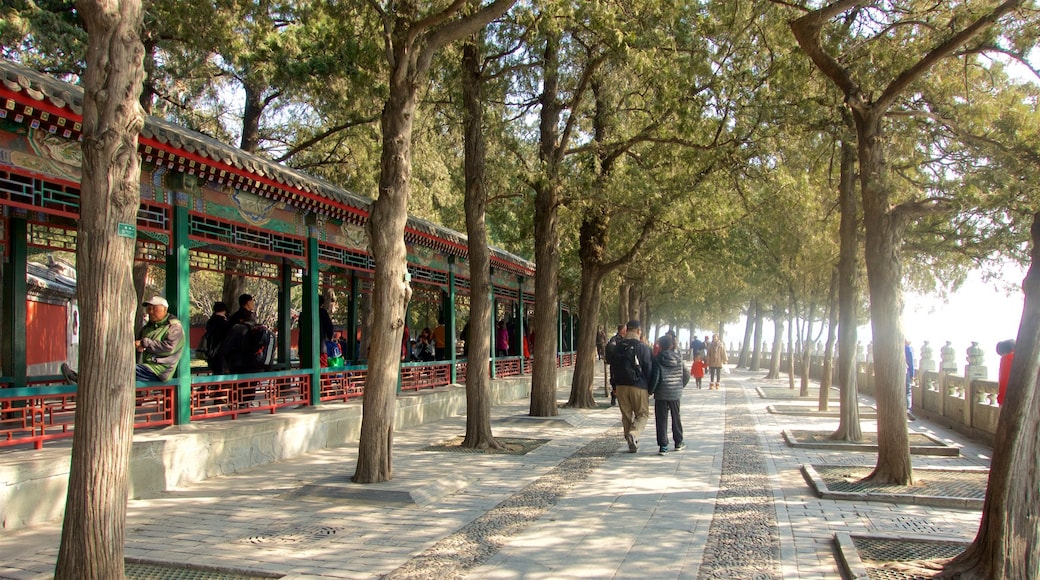 Summer Palace