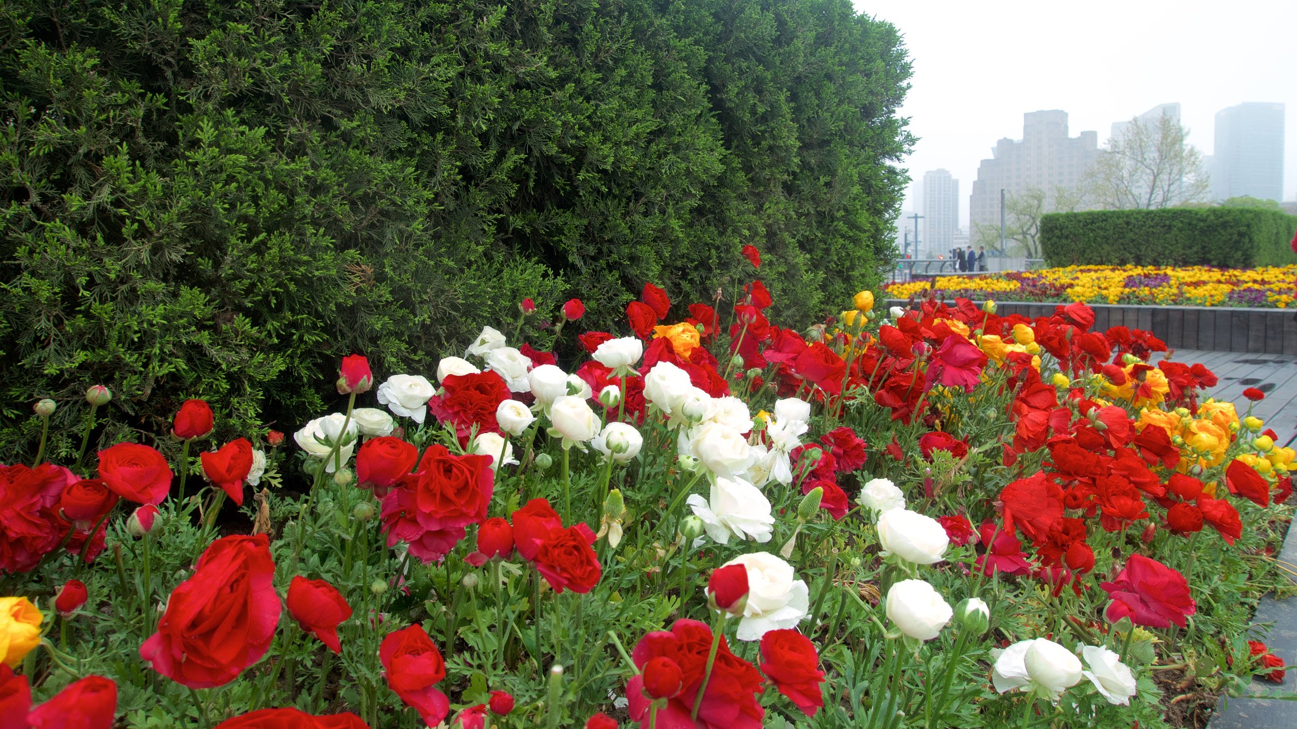 The Bund