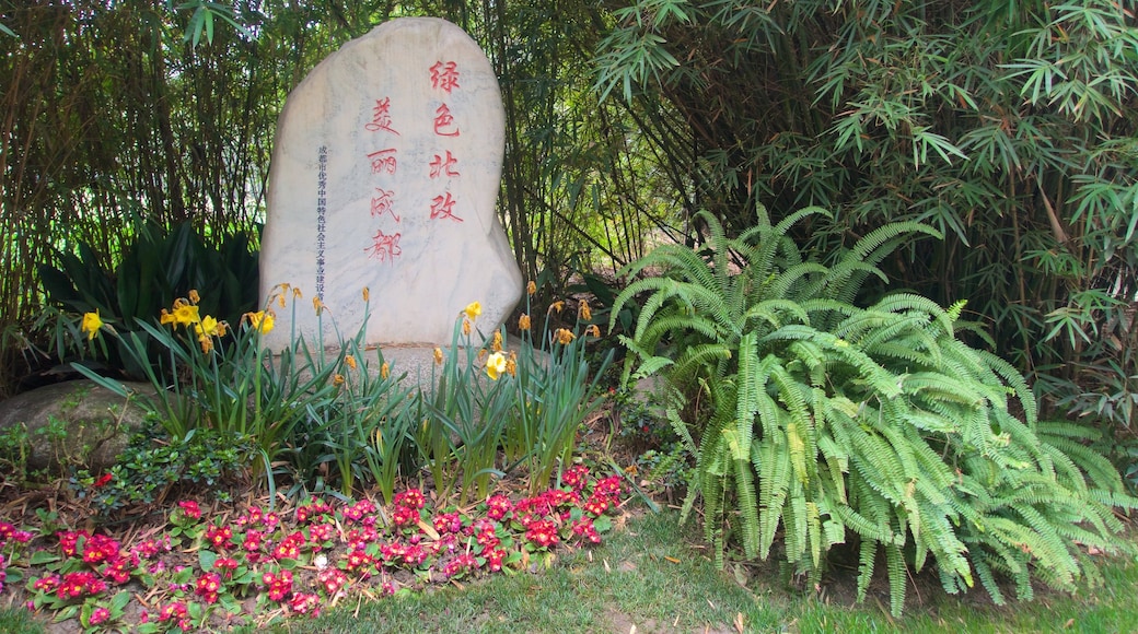 Centro base di ricerca del Panda Gigante di Chengdu