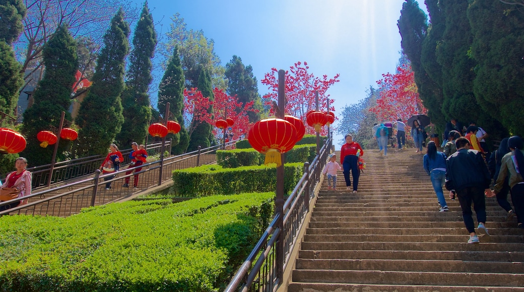 Zoo de Kunming