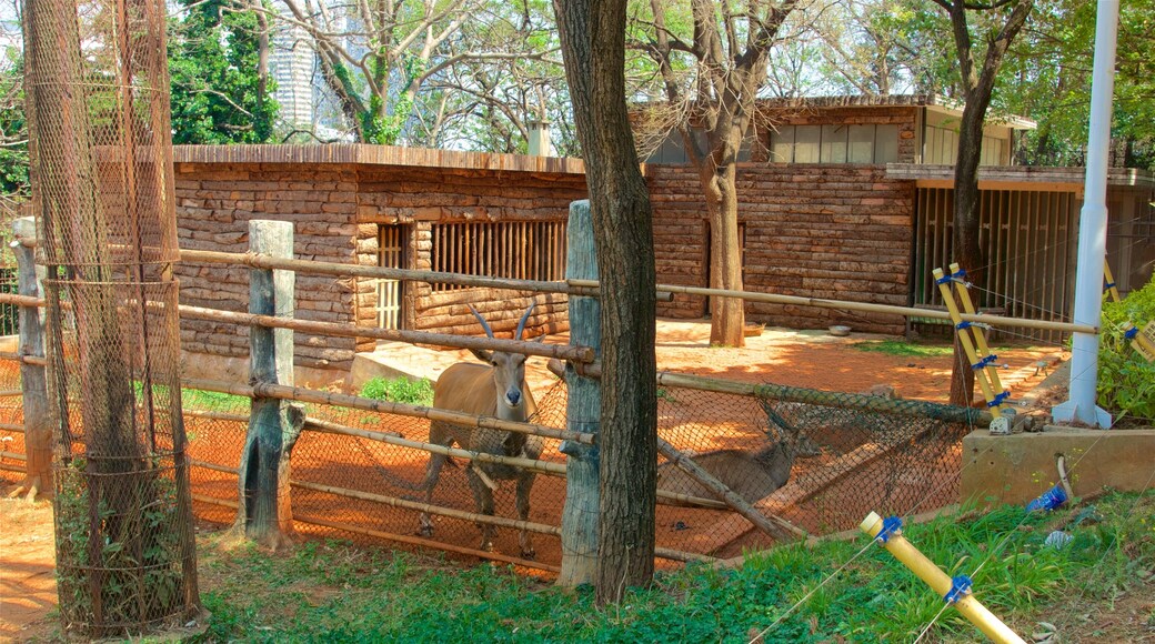 Kebun Binatang Kunming