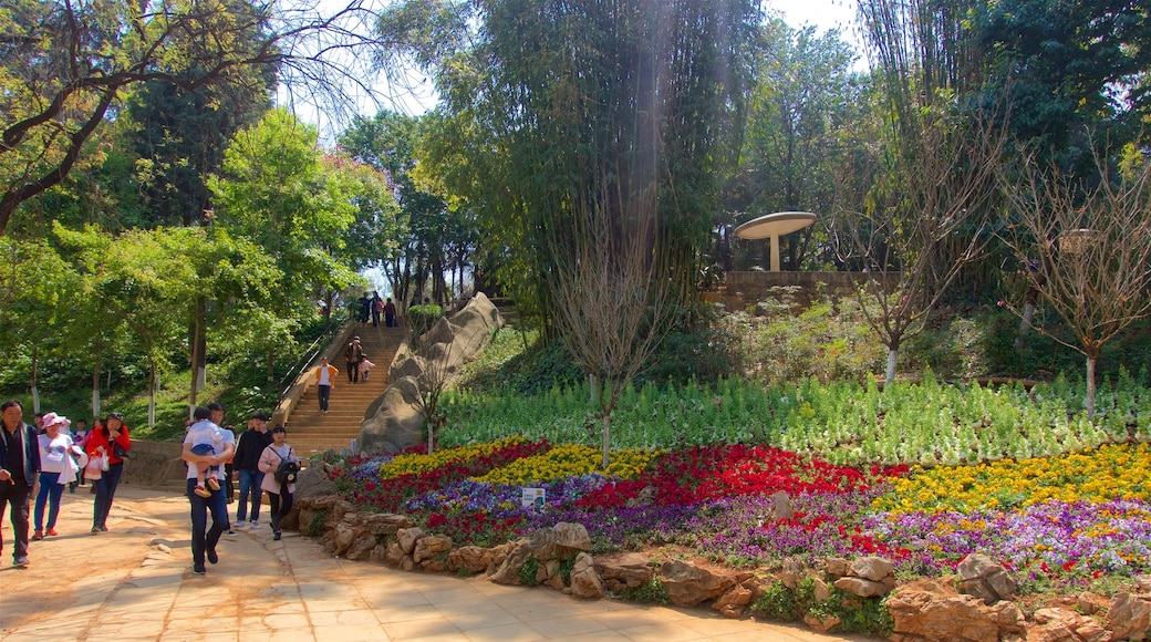 Zoo de Kunming