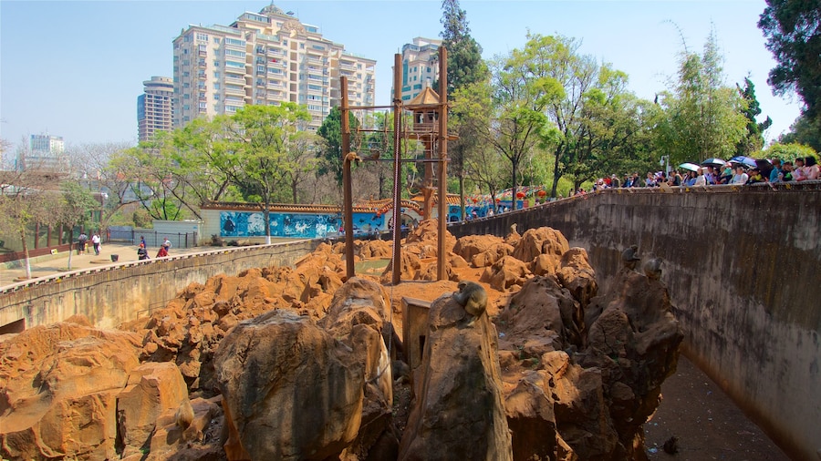 Kunming Zoo